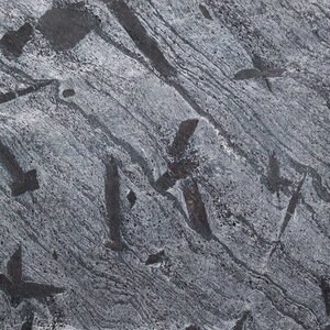 Természetes ezüst pala, polírozott, 60 x 30 x 1,2 cm | Ideális kültérre/bejáratba, függőlegesen/függőlegesen