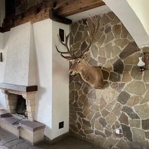 Homa Polygonal Slate - Természetes kő belső / külső | frontok, burkolatok és járdák (1 m2 = 10-14 db)
