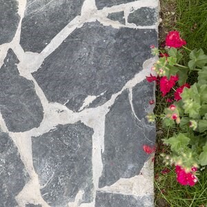 Laguna Green Polygonal Slate - Természetes kő beltéri / kültéri | frontok, burkolatok és járdák számára