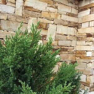 Slate Rhodos Filleti (raklap kb. 10 m2)| Dekoratív kő - függőleges csempe, kül- és beltéri burkolat