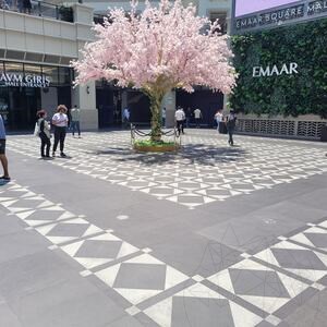 Bazalt Black Beauty Periat, 60 x 60 x 2 cm