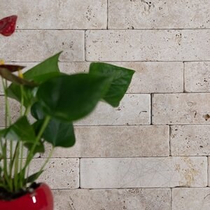 Classic Cross Cut Tumbled Travertin tégla, 20.3 x 5 x 3 cm