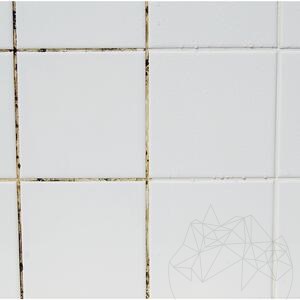 LTP Profesional Mouldex, Penészgomba spórák elleni tisztítószer (tisztít és karbantart), 500 ml