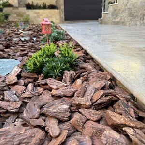 Latte Brushed & Bullnosed PREMIUM Travertin, 61 x 30.5 x 3 cm - Lépcsők / medenceburkolat