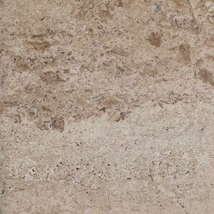 Latte Brushed & Bullnosed PREMIUM Travertin, 61 x 30.5 x 3 cm - Lépcsők / medenceburkolat