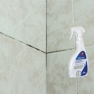 LTP Profesional Mouldex, Penészgomba spórák elleni tisztítószer (tisztít és karbantart), 500 ml