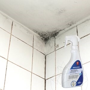 LTP Profesional Mouldex, Penészgomba spórák elleni tisztítószer (tisztít és karbantart), 500 ml