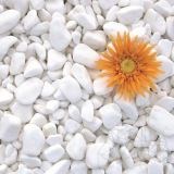 Thassos márvány kavics, 1-3 cm 20 kg, os zsák 20 kg-os zsák
