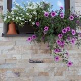 Slate Rhodos Natur, 5 cm x LL | Dekoratív kő - függőleges csempe, kültéri-kültéri
