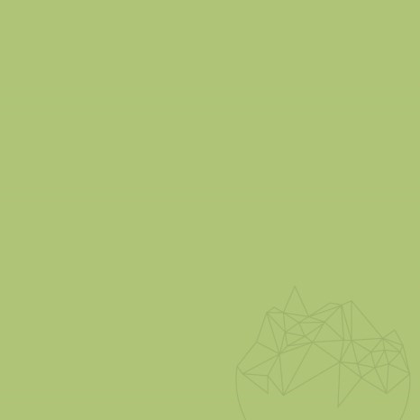 Weber G700 falalapozó ZE1, zöld, 20 kg