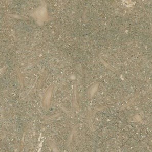 Mészkő Oliva Honed, 61 x 30.5 x 1.2 cm