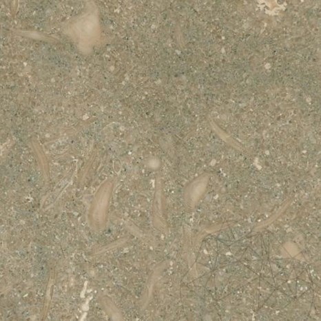 Mészkő Oliva Honed, 61 x 30.5 x 1.2 cm