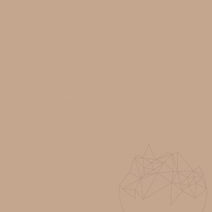 Fugázó - Multifill-Diamond, Fugaszélesség 1-12 mm, 21 Caramel, 4 kg