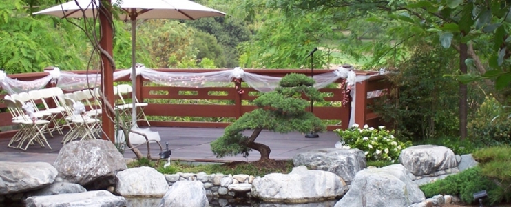 A zen 7 alapelve a japánkertre vonatkozik