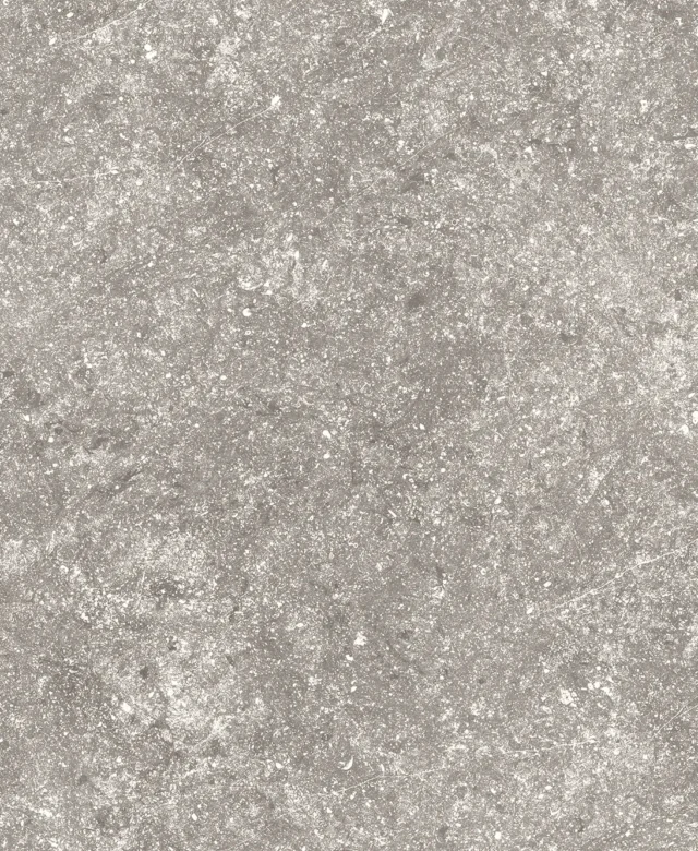 LAP-0019